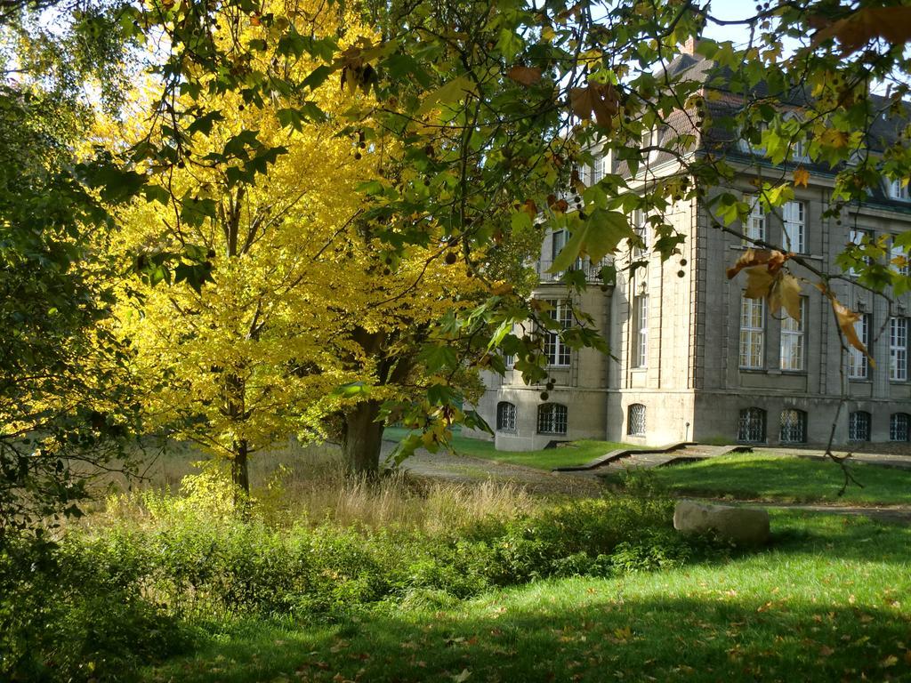 Jagdschloss-Bellin Bellin  Bagian luar foto