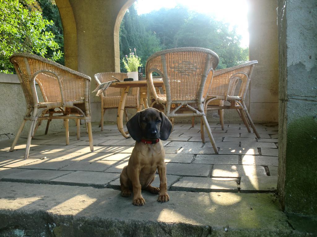 Jagdschloss-Bellin Bellin  Bagian luar foto